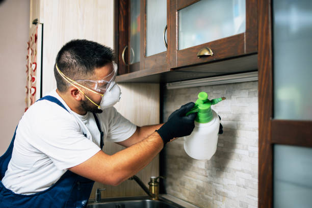 Best Exterminator Services  in Richardson, TX