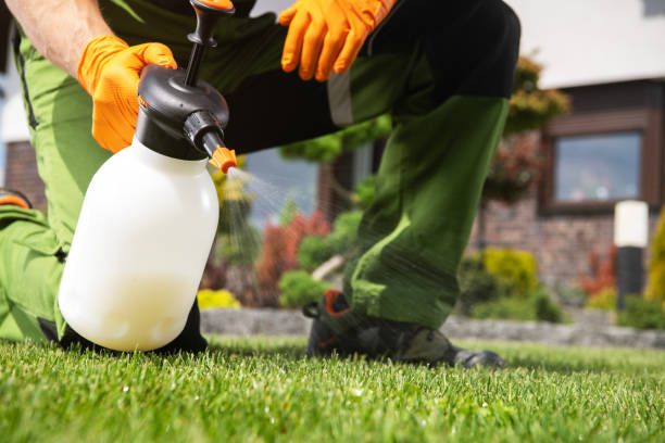 Best Rodent Control Near Me  in Richardson, TX