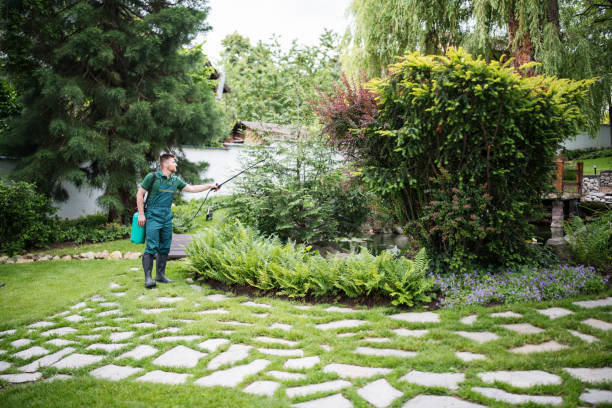 Best Affordable Exterminators  in Richardson, TX