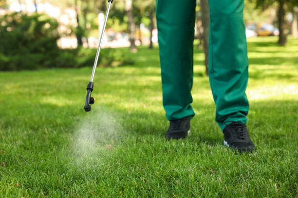 Best Commercial Pest Control Services  in Richardson, TX