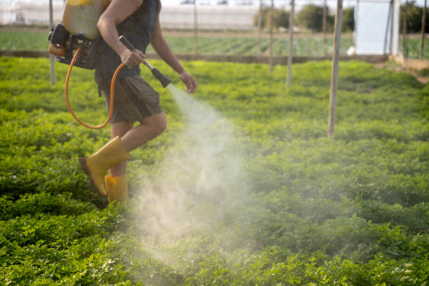 Best Pest Prevention Services  in Richardson, TX