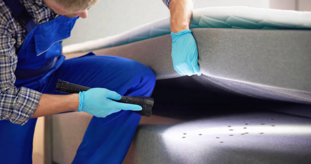 Best Mosquito Control Services  in Richardson, TX
