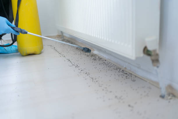 Best Pest Removal Services  in Richardson, TX