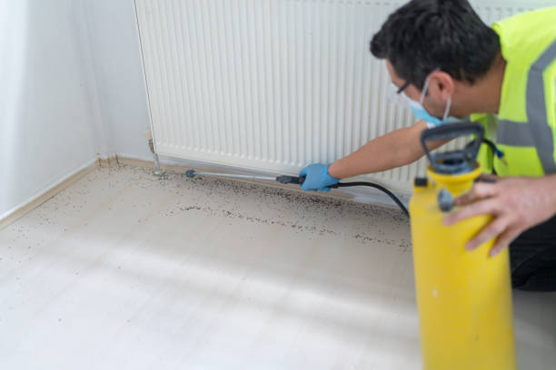 Trusted Richardson, TX Pest Control Experts