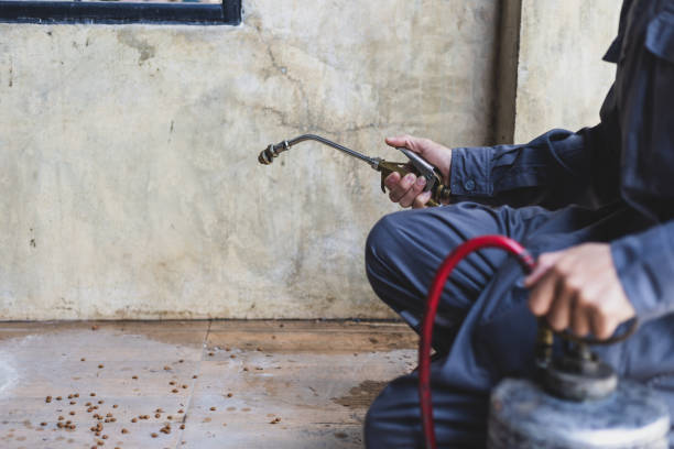 Best Affordable Pest Control Services  in Richardson, TX